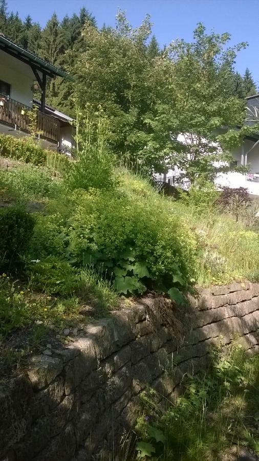 Haus Talblick Villa ชมาลเลนแบร์ก ภายนอก รูปภาพ